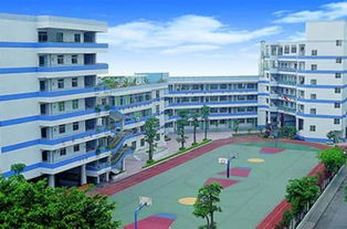 深圳市福田区有多少个街道办,地址和联系方式有没有