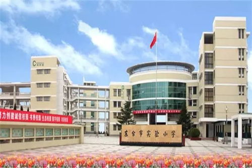 东台台城中小学学区 住宅小区划分,供家长参考