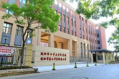 逐梦前行 幸福七中 记沈阳市第七中学附属小学2020新年联欢活动