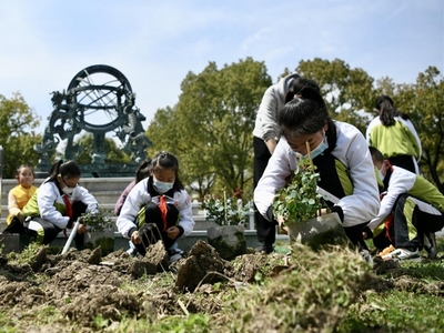 我与小树同成长--嘉兴市光明小学校园植树日活动
