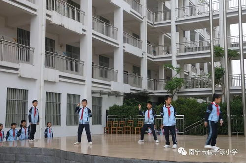 news 位小新闻 南宁市位子渌小学开展 生命真美好 主题教育活动