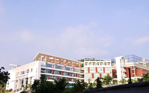 深圳市龙岗区吉祥小学