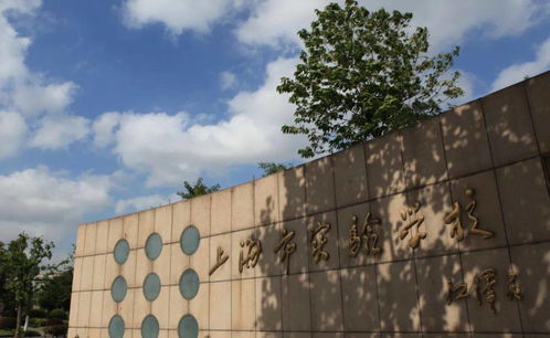 公办强 民办热 浦东新区小学资源大盘点——嘉兴市光明小学