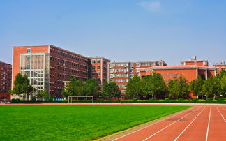 嘉兴市光明小学的校园操场